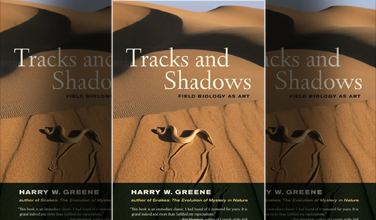 Tracks and Shadows Field Biology as Art by Harry W. Greene